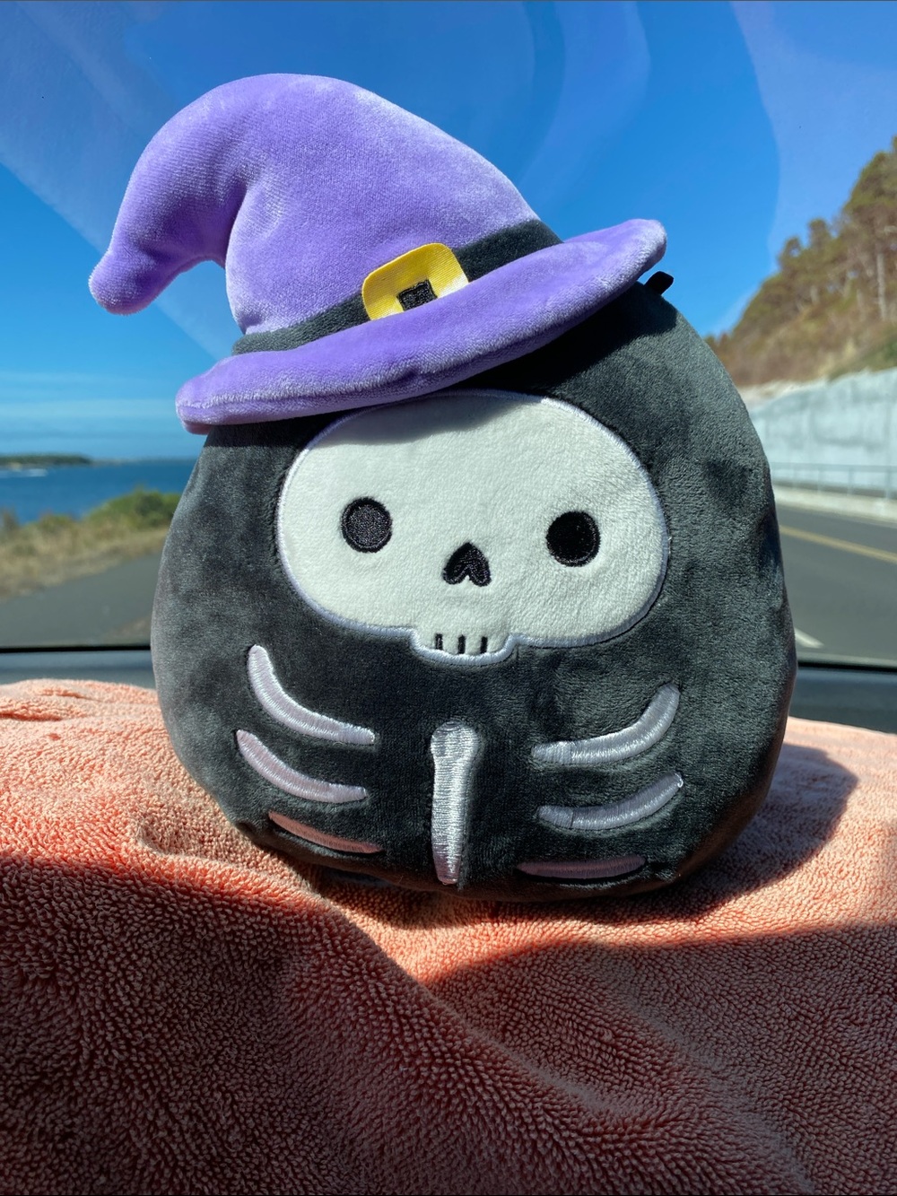 Squishmallows Black Skeleton Plush with Purple Witch Hat Org Tag